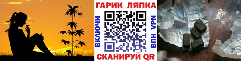 ГАШИШ индика сатива  что такое   Гороховец 