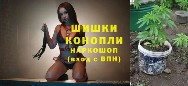 спайс Бородино