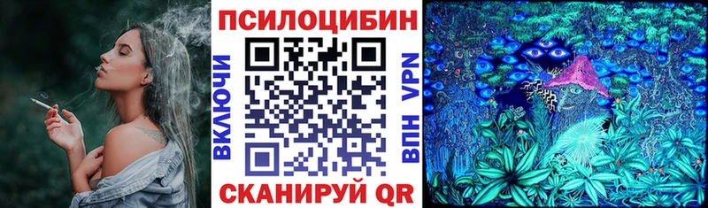 Псилоцибиновые грибы Magic Shrooms  нарко площадка официальный сайт  Гороховец  купить  цена 